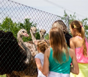 Zoopark Na Hrádečku