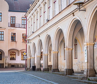 slavo