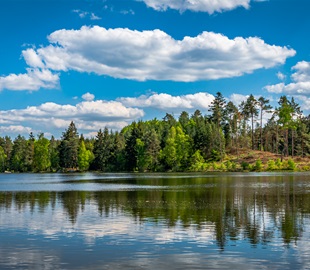 Zvůle