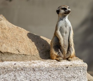 Zoopark Na Hrádečku