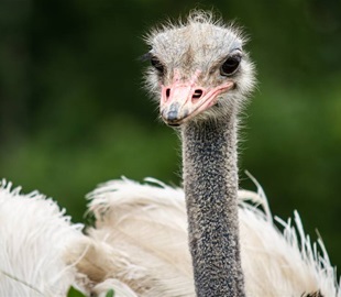 Zoopark Na Hrádečku