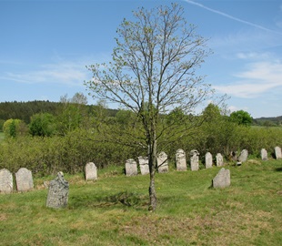 Židovský hřbitov ve Starém Městě pod Landštejnem