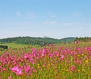 landštejn