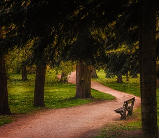 zámecký park