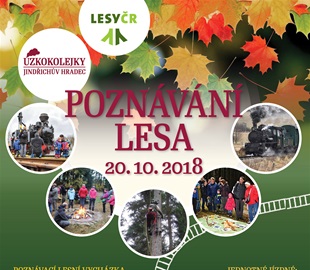Podzimní jízda parním vlakem