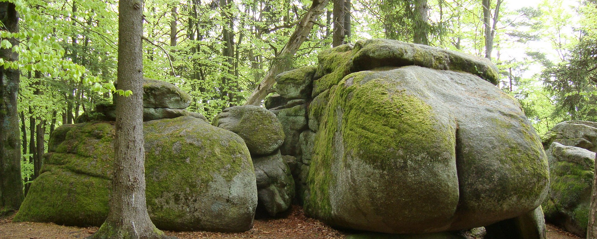 Nejvtipnější balvan České Kanady. Každý výletník chce mít památeční snímek s tímto originálem.